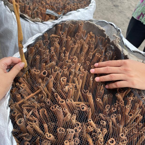 WhatsApp Image 2026-01-29 at 23.16.43 (1)