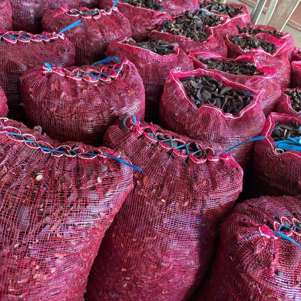 WhatsApp Image 2026-01-29 at 23.21.51 (4)