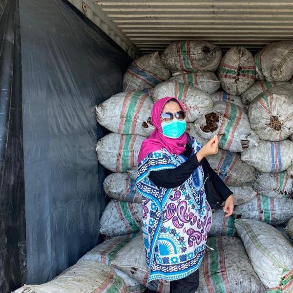 WhatsApp Image 2026-01-29 at 23.24.07