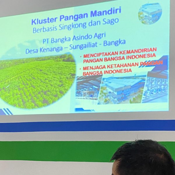 WhatsApp Image 2026-01-29 at 23.34.03