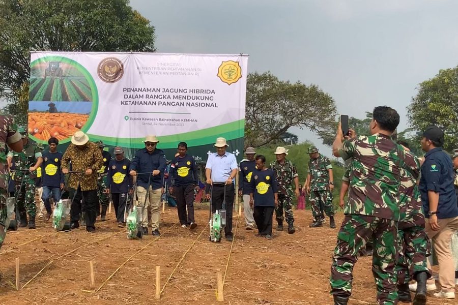 WhatsApp Image 2026-02-19 at 21.23.53 (1)